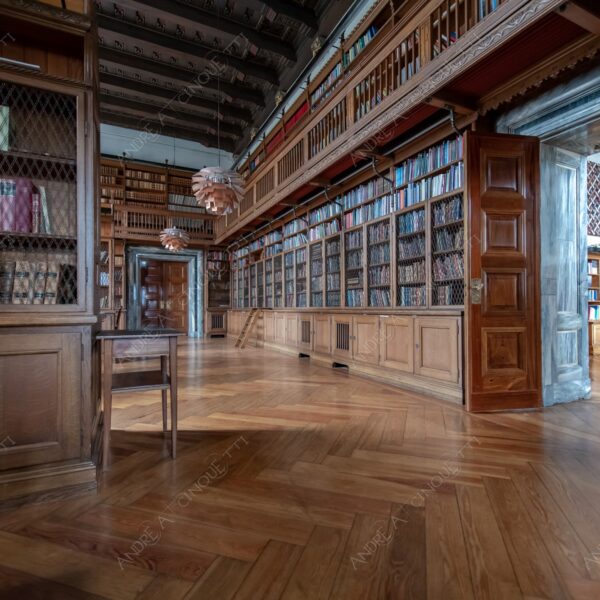 danimarca denmark copenaghen copenhagen municipio city hall biblioteca library legno wood