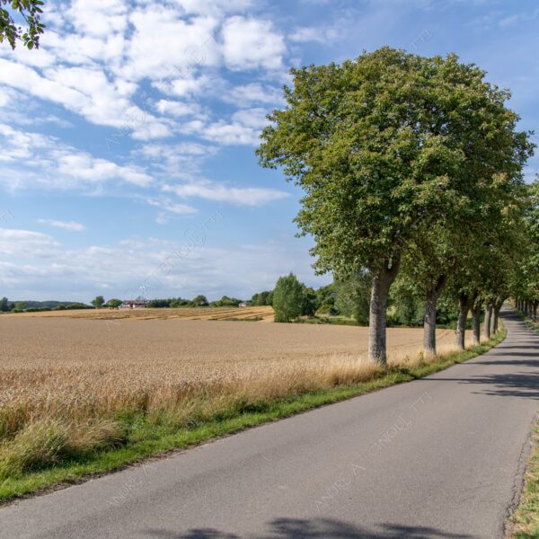 danimarca denmark stege minimale minal nuvole clouds prato lawn meadow campo field blue blu green verde nessuno nobody solitario lonely solitudine loneliness infinto infinity collina hill