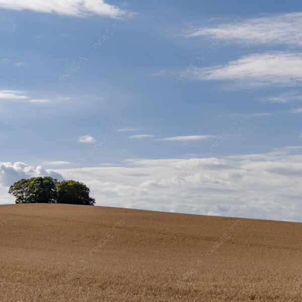 danimarca denmark stege minimale minal nuvole clouds prato lawn meadow campo field blue blu green verde nessuno nobody solitario lonely solitudine loneliness infinto infinity collina hill