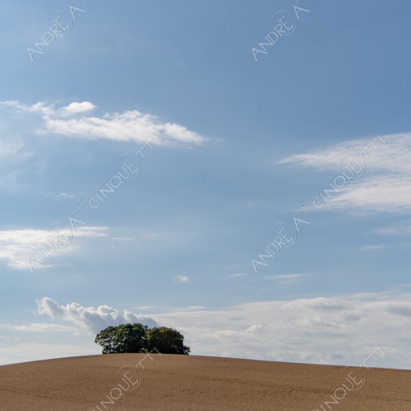 danimarca denmark stege minimale minal nuvole clouds prato lawn meadow campo field blue blu green verde nessuno nobody solitario lonely solitudine loneliness infinto infinity collina hill