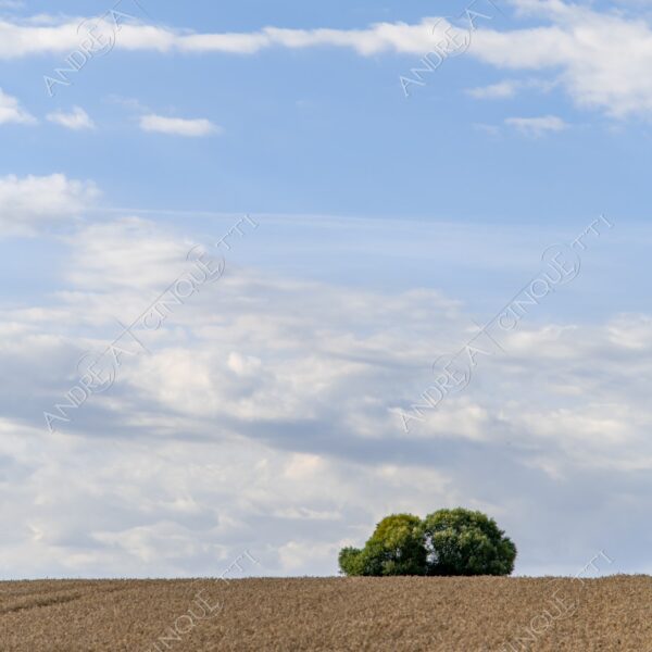 danimarca denmark stege minimale minal nuvole clouds prato lawn meadow campo field blue blu green verde nessuno nobody solitario lonely solitudine loneliness infinto infinity collina hill