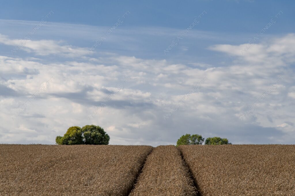 danimarca denmark stege minimale minal nuvole clouds prato lawn meadow campo field blue blu green verde nessuno nobody solitario lonely solitudine loneliness infinto infinity collina hill