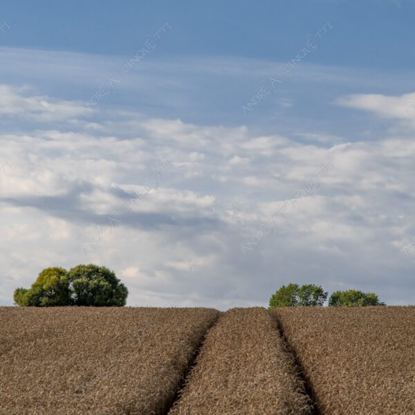 danimarca denmark stege minimale minal nuvole clouds prato lawn meadow campo field blue blu green verde nessuno nobody solitario lonely solitudine loneliness infinto infinity collina hill
