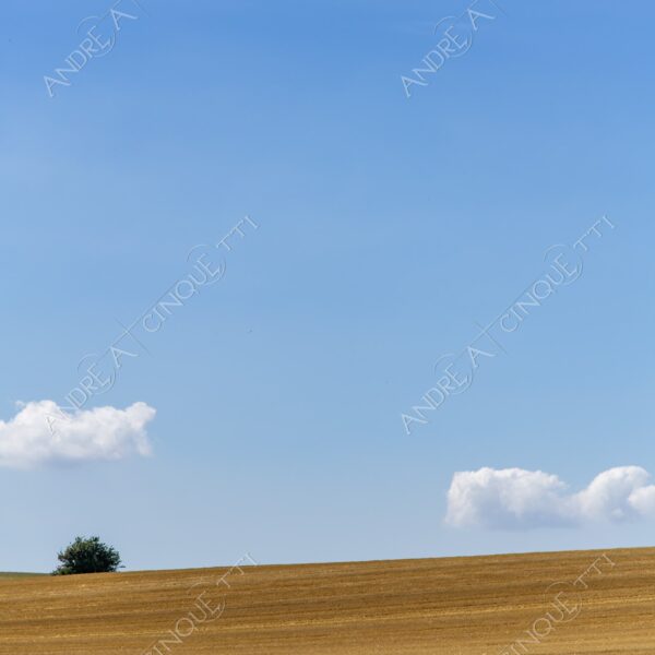 danimarca denmark stege minimale minal nuvole clouds prato lawn meadow campo field blue blu green verde nessuno nobody solitario lonely solitudine loneliness infinto infinity collina hill