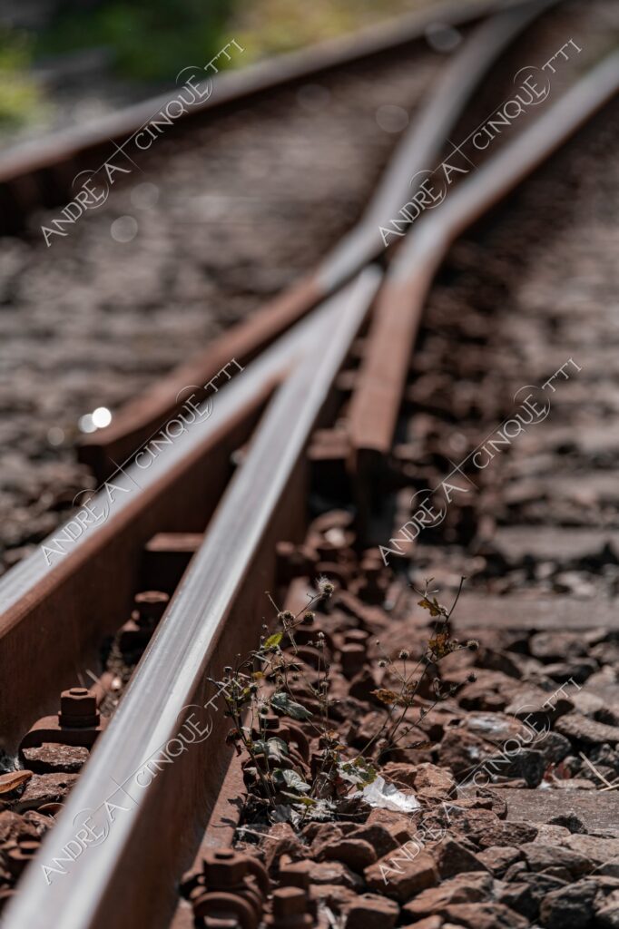 terzo paesaggio abbandonato abandoned ruggine rust binari tracks binary