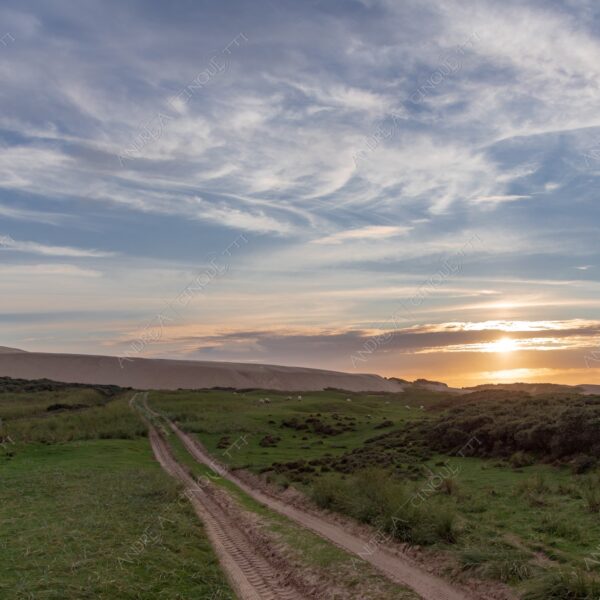 danimarca denmark rubjerg knude lighthouse faro tramonto sunset sundown dusk twilight alba sunrise campo field sentiero path trail