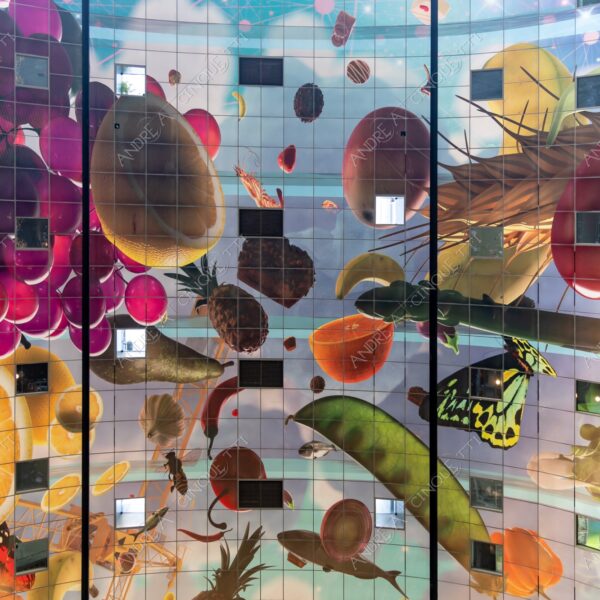 olanda holland paessi bassi the netherlands rotterdam palazzo palace buildings moderni modern markthal