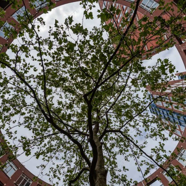 olanda holland paessi bassi the netherlands l'aia prospettiva perspective architettura architecture