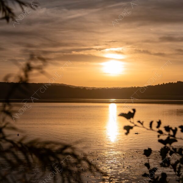 viverone lago lake mirror specchio riflessi reflections sole sun montagne mountains controluce backlight backlit profilo silhouette paesaggi landscapes sole sun alba sunrise dawn twilight tramonto sunset sundown