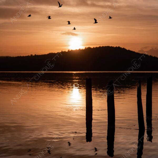 viverone lago lake mirror specchio riflessi reflections sole sun montagne mountains controluce backlight backlit profilo silhouette paesaggi landscapes sole sun alba sunrise dawn twilight tramonto sunset sundown