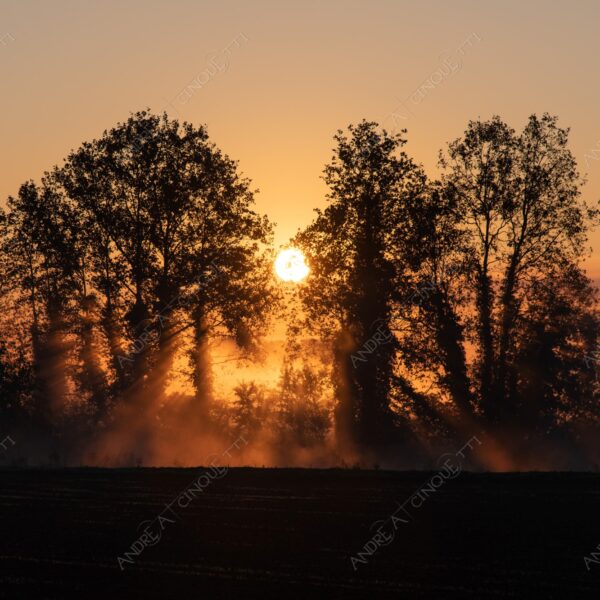 tramonto sunset sundown crepuscolo dusk twilight alba sunrise nebbia fog foschia mist haze