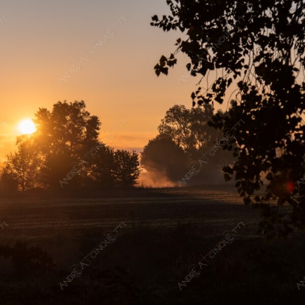 tramonto sunset sundown crepuscolo dusk twilight alba sunrise nebbia fog foschia mist haze