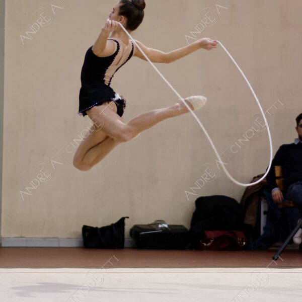 ginnastica ritmica rhythmic gym gara competition esibizione exhibition agonismo competitiveness eleganza elegance elegancy