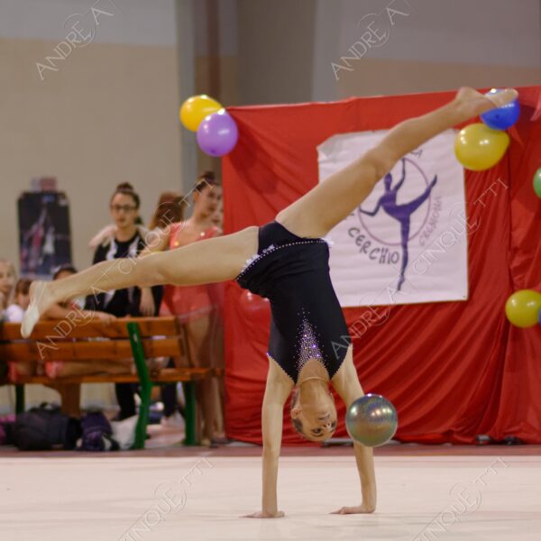ginnastica ritmica rhythmic gym gara competition esibizione exhibition agonismo competitiveness eleganza elegance elegancy