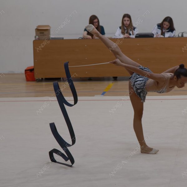 ginnastica ritmica rhythmic gym gara competition esibizione exhibition agonismo competitiveness eleganza elegance elegancy