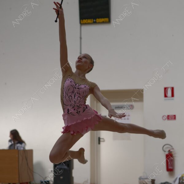 ginnastica ritmica rhythmic gym gara competition esibizione exhibition agonismo competitiveness eleganza elegance elegancy