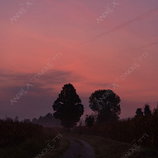 balbiano colturano campagna countryside alba sunrise tramonto sunset sundown crepuscolo twilght dusk