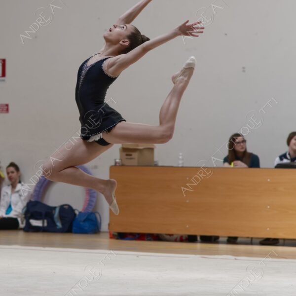 ginnastica ritmica rhythmic gym gara competition esibizione exhibition agonismo competitiveness eleganza elegance elegancy