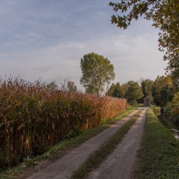 balbiano colturano campagna countryside campo field meadow