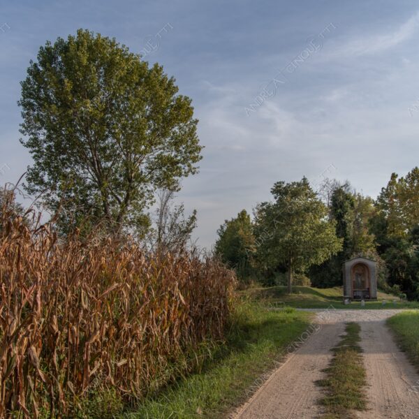 balbiano colturano campagna countryside campo field meadow