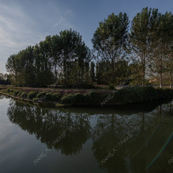 balbiano colturano campagna countryside fiume river addetta controluce backlit backlight profilo silhouette sole sun