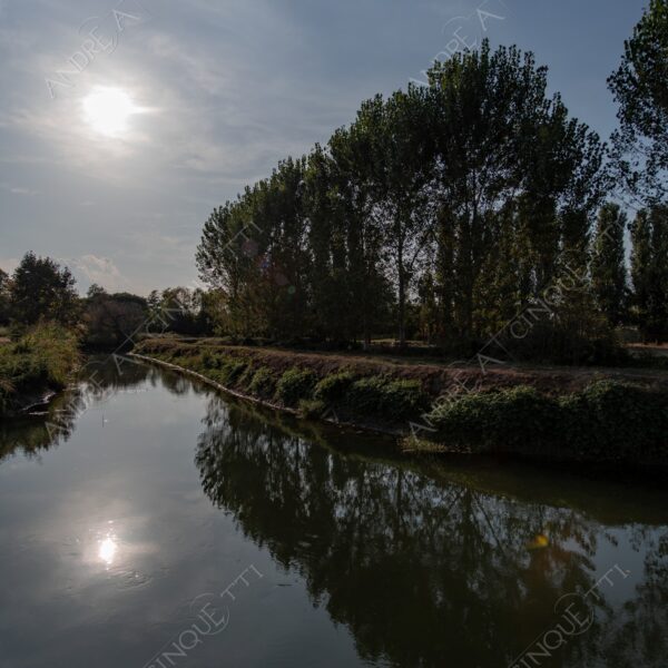 balbiano colturano campagna countryside fiume river addetta controluce backlit backlight profilo silhouette sole sun