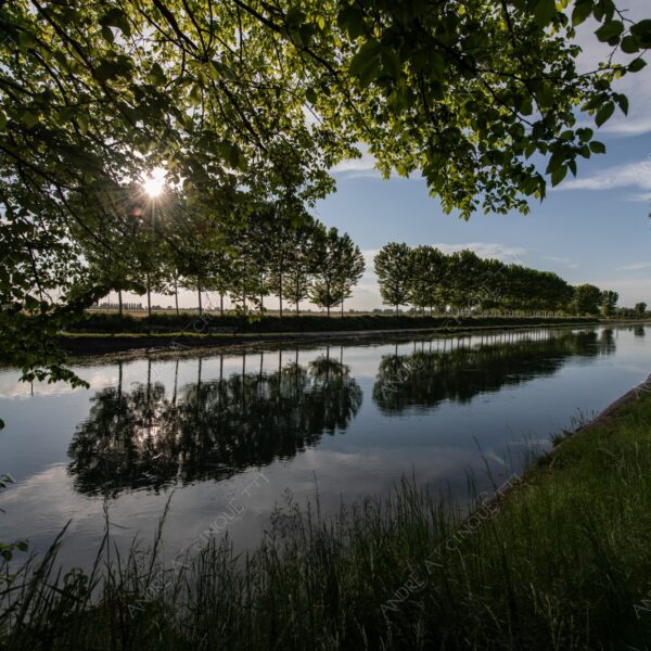 lodi mulazzano canale canal channel muzza alberi trees lunga esposizione long exposure sole sun