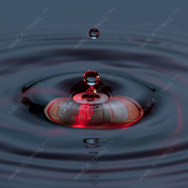 macro photography goccia gocce d'acqua water drop drops droplet droplets high speed sync studio photography riflessi reflections splash colori colours bounce bouncing moneta coin euro