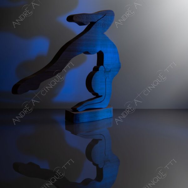 still life studio photography opera d'arte artwork legno wood ombra shadow prfilo silhouette riflessi reflections specchio mirror ginnasta gymnast ballerina dancer