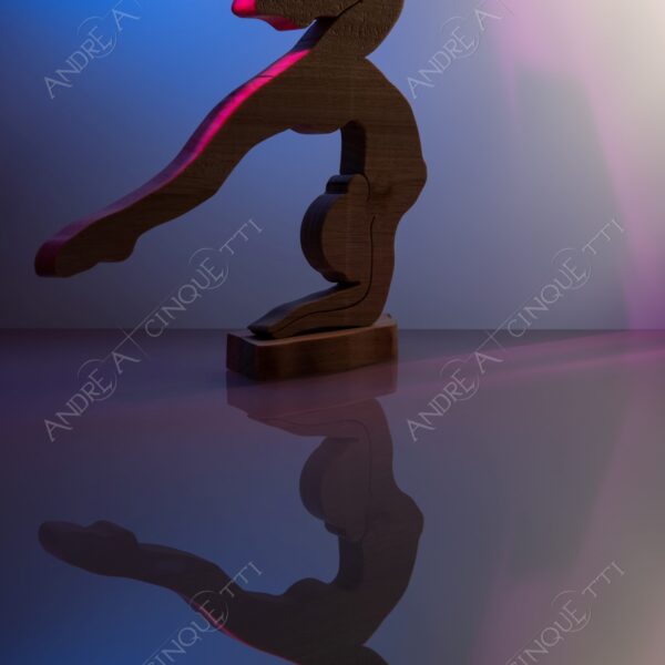 still life studio photography opera d'arte artwork legno wood ombra shadow prfilo silhouette riflessi reflections specchio mirror ginnasta gymnast ballerina dancer