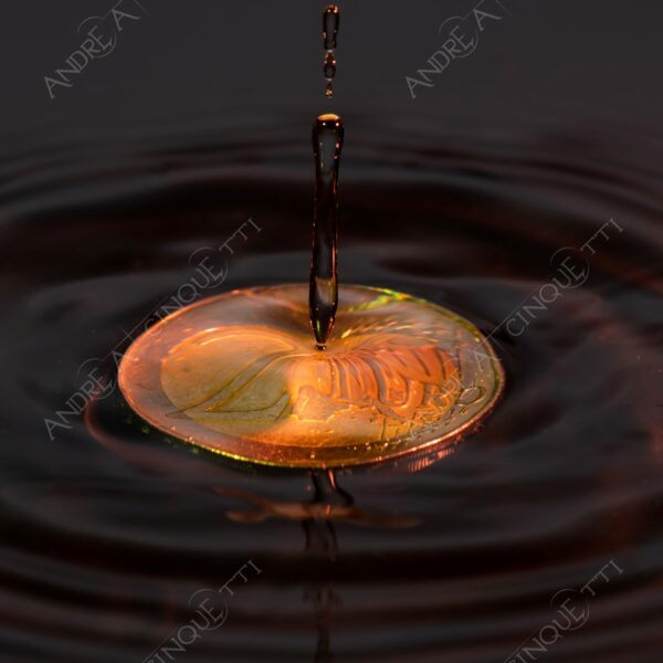 macro photography goccia gocce d'acqua water drop drops droplet droplets high speed sync studio photography riflessi reflections splash colori colours bounce bouncing moneta coin euro