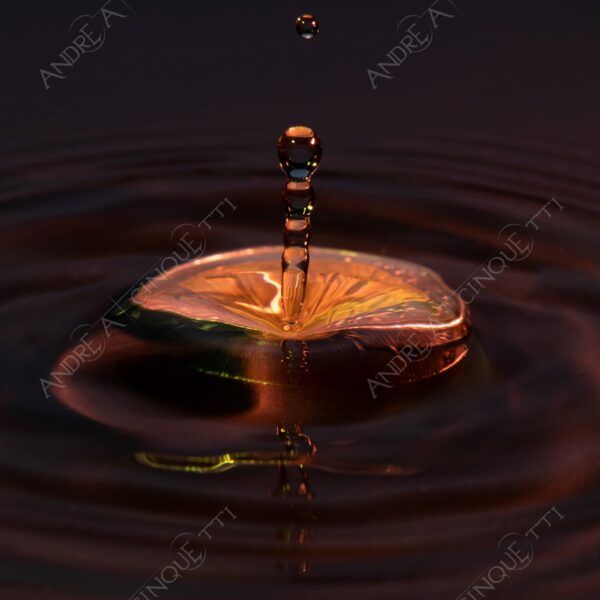 macro photography goccia gocce d'acqua water drop drops droplet droplets high speed sync studio photography riflessi reflections splash colori colours bounce bouncing moneta coin euro