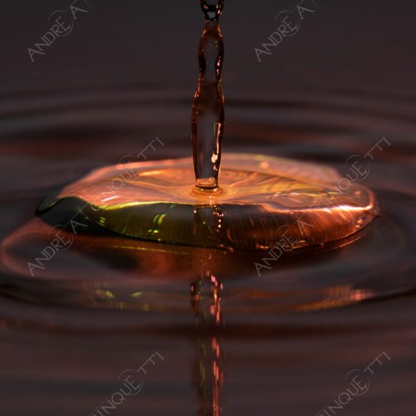 macro photography goccia gocce d'acqua water drop drops droplet droplets high speed sync studio photography riflessi reflections splash colori colours bounce bouncing moneta coin euro