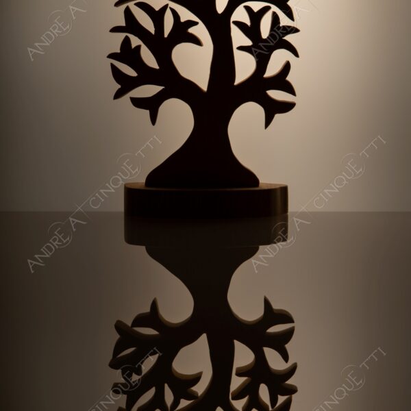 still life studio photography opera d'arte artwork legno wood ombra shadow prfilo silhouette riflessi reflections specchio mirror albero tree