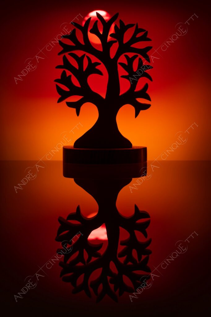 still life studio photography opera d'arte artwork legno wood ombra shadow prfilo silhouette riflessi reflections specchio mirror albero tree sole sun tramonto sunset sundown crepuscolo dusk twilight alba sun down
