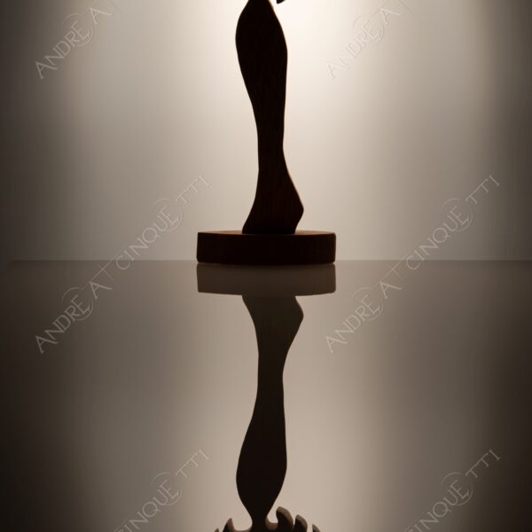 still life studio photography opera d'arte artwork legno wood ombra shadow prfilo silhouette riflessi reflections specchio mirror ballerina dancer angelo angel
