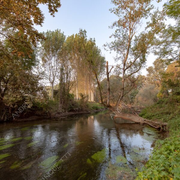 balbiano colturano campagna countryside fiume river addetta