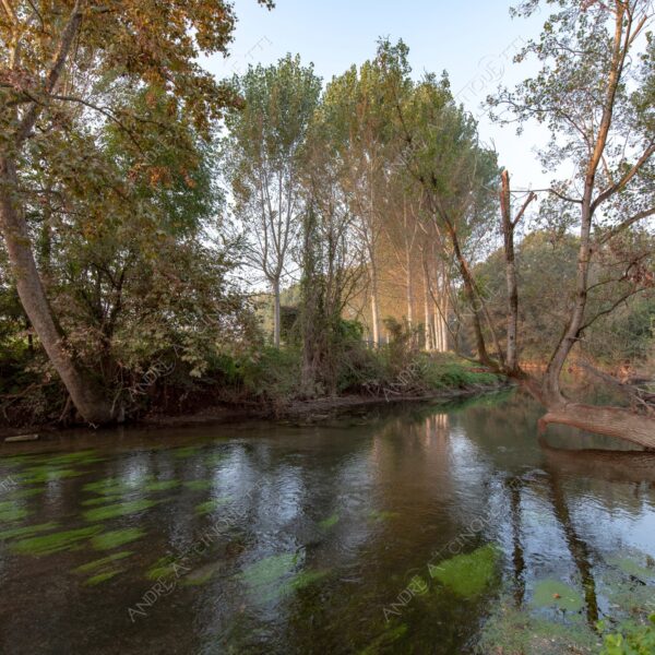 balbiano colturano campagna countryside fiume river addetta