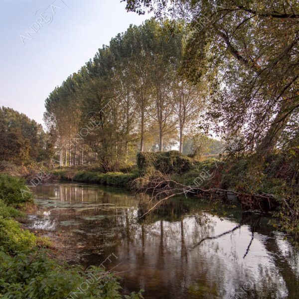 balbiano colturano campagna countryside fiume river addetta