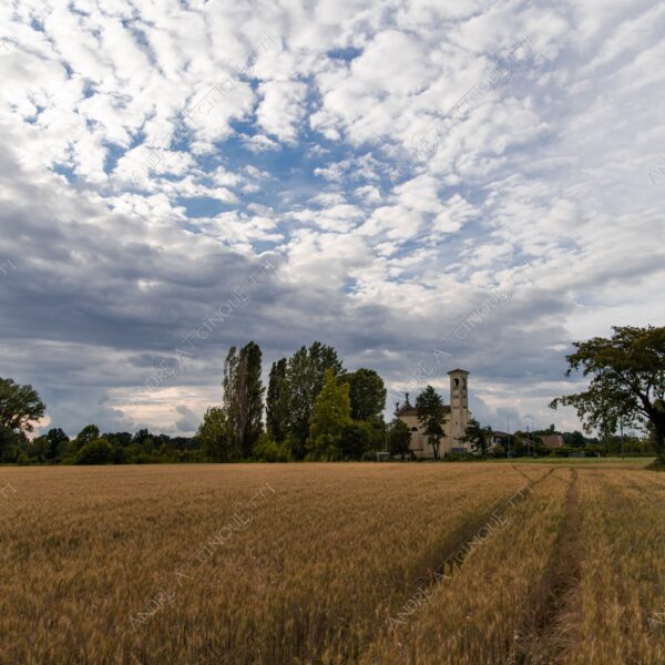 tribiano san barbaziano chiesa church ponte bridge campanile belltower belfry steeple campo field meadow grano corn spiga ear nuvole clouds