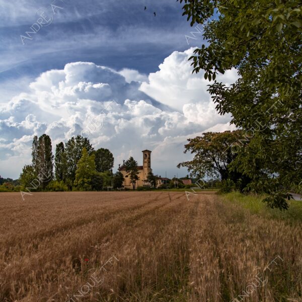 tribiano san barbaziano chiesa church ponte bridge campanile belltower belfry steeple campo field meadow grano corn spiga ear nuvole clouds