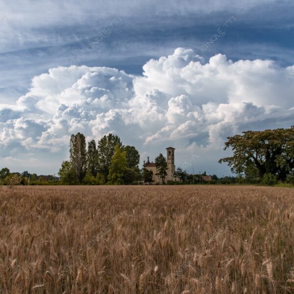 tribiano san barbaziano chiesa church ponte bridge campanile belltower belfry steeple campo field meadow grano corn spiga ear nuvole clouds