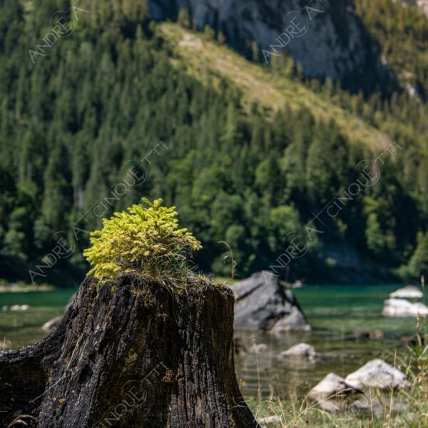 austria hallstat montagne mountains lago lake smeraldo emerald nuvole clouds