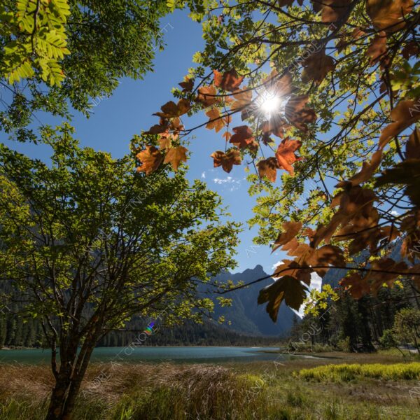 Lago di Dobbiaco lago lake smeraldo emeraldo ali alps alpino montagne mountains dolomiti bosco woods riflessi reflections nuvole clouds sole sun