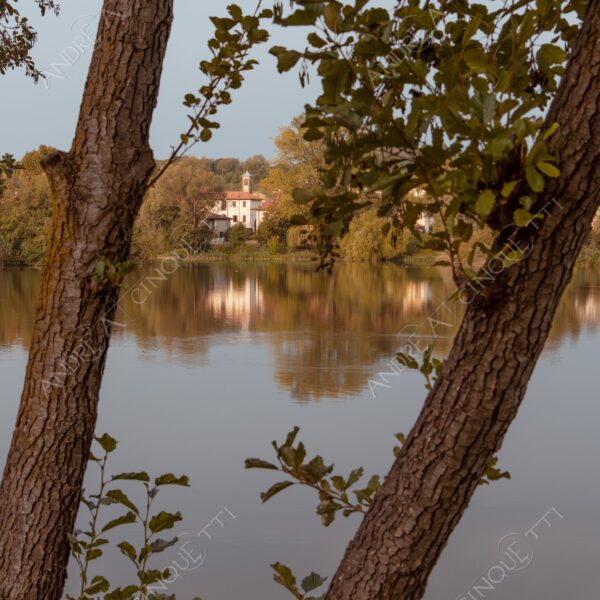 oasi oasis bosco wood foresta forest autunno autumn fall sentiero trail path footpath foliage foglie leaves alberi trees natura nature selvaggio wild lago lake stagno pond palude swamp riflessi reflections