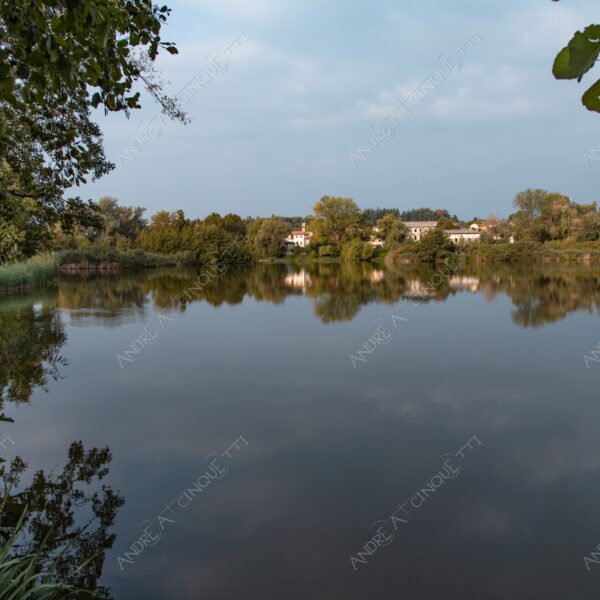 oasi oasis bosco wood foresta forest autunno autumn fall sentiero trail path footpath foliage foglie leaves alberi trees natura nature selvaggio wild lago lake stagno pond palude swamp riflessi reflections
