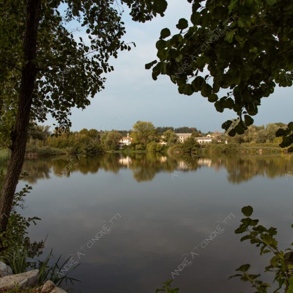 oasi oasis bosco wood foresta forest autunno autumn fall sentiero trail path footpath foliage foglie leaves alberi trees natura nature selvaggio wild lago lake stagno pond palude swamp riflessi reflections