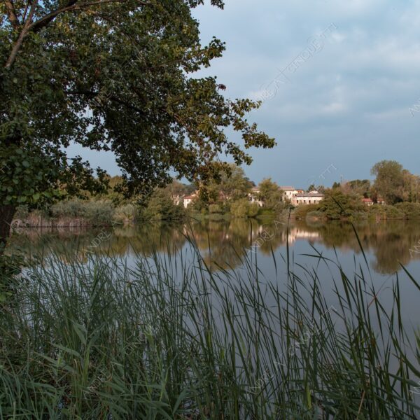 oasi oasis bosco wood foresta forest autunno autumn fall sentiero trail path footpath foliage foglie leaves alberi trees natura nature selvaggio wild lago lake stagno pond palude swamp riflessi reflections