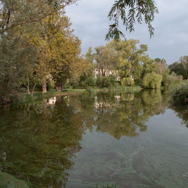 oasi oasis bosco wood foresta forest autunno autumn fall sentiero trail path footpath foliage foglie leaves alberi trees natura nature selvaggio wild lago lake stagno pond palude swamp riflessi reflections