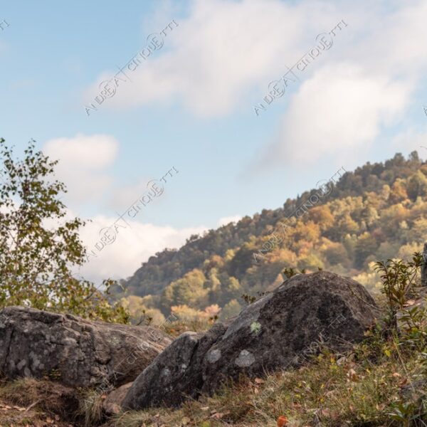 zegna oasi oasis montagna mountain bosco wood foresta forest autunno autumn fall sentiero trail path footpath foliage foglie leaves alberi trees natura nature selvaggio wild passeggiata hike pietra stone prospettiva perspective